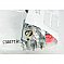 530071811 AYP OEM Carburetor Kit Assembly View6