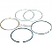 Piston Ring Std for Honda 13010-ZF1-023 View 2