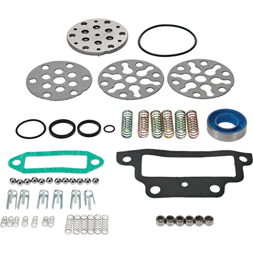 Stens Hydraulic Pump Repair Kit for Ford/New Holland CCPN600AB View 2