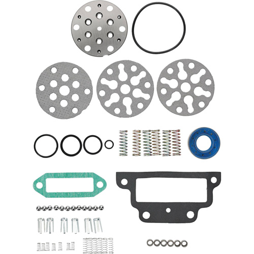 Stens Hydraulic Pump Repair Kit for Ford/New Holland CCPN600AB View 3