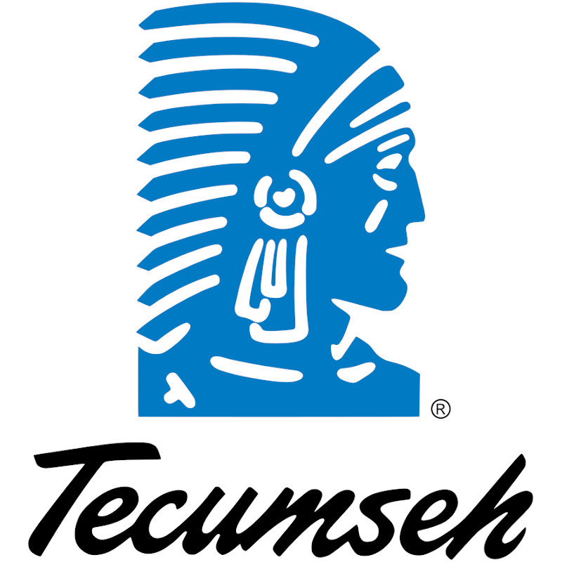 Tecumseh 106136 OEM OVRM105-21018E