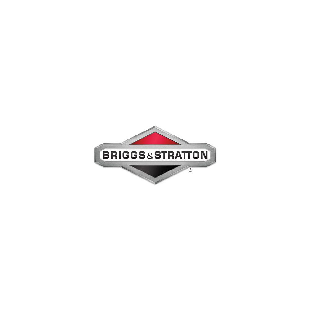 Briggs & Stratton 100117 OEM TREATMENT, FUEL 4 OZ