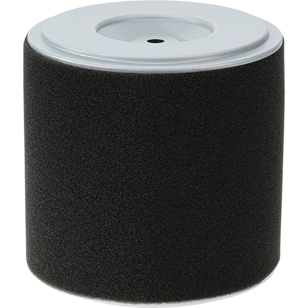 Stens Air Filter Combo For Honda 17210-Z1C-781 / 100-901
