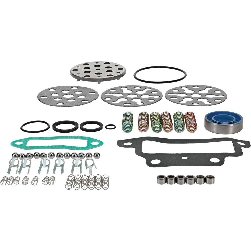 Stens Hydraulic Pump Repair Kit for Ford/New Holland CCPN600AB / 1101-0091