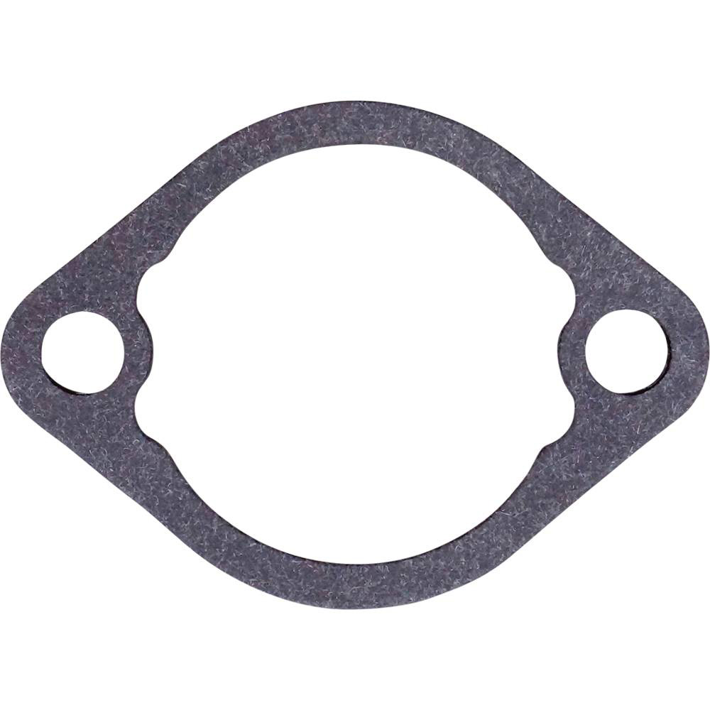 Red Hawk Intake Gasket For E-Z-Go RXV 08+, TXT with Kawasaki Engine / CARB-040