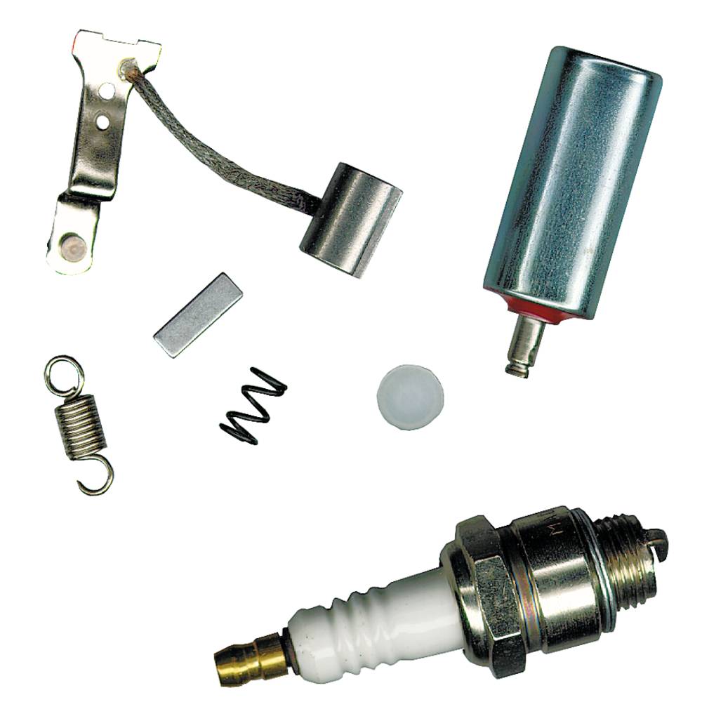Tune Up Kit for Briggs & Stratton / 450-668